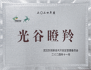 2024光谷瞪羚企业