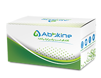 支原体/内毒素检测/清除