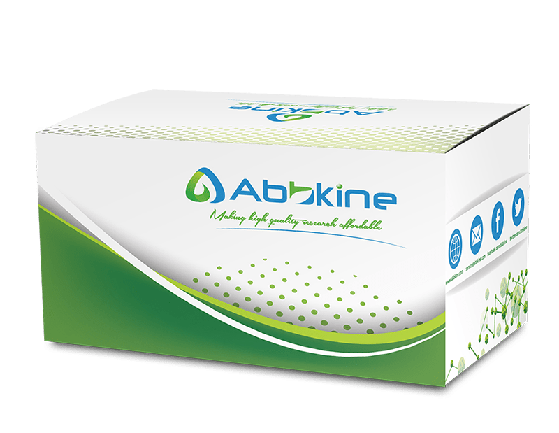 乳酸含量检测指南（科研）：检测方法选择、WST-8比色原理、样本处理、标准曲线与故障排查