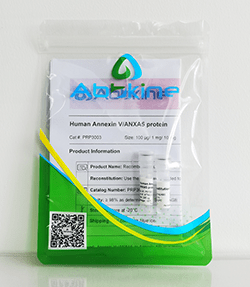 不看后悔！最全重组蛋白选择指南