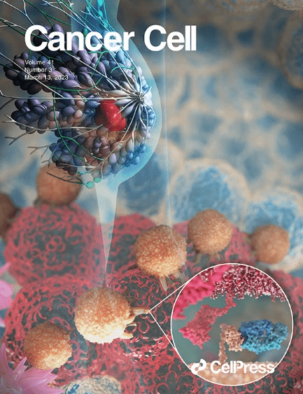 喜报！Abbkine IPkine系列轻链特异性二抗（A25012; A25022）近日被引于医学1区知名期刊《Cancer Cell》影响因子高达49.29！