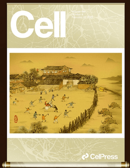 重磅！《Cell》封面文章引用Abbkine抗体