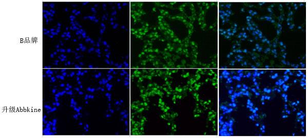 新技能get，一步法TUNEL焕新升级！