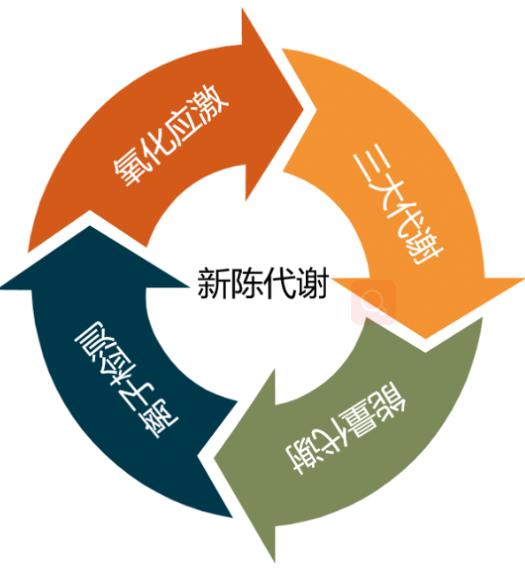 你造吗？细胞代谢可以这样检测的！