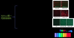 Abbkine细胞代谢试剂盒检测