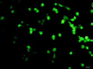 看过来|开学备货季，生化试剂盒已为您配齐了
