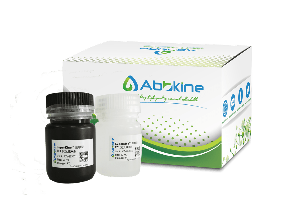 Abbkine流量产品大合集，蛋白细胞基础试剂人人拥有