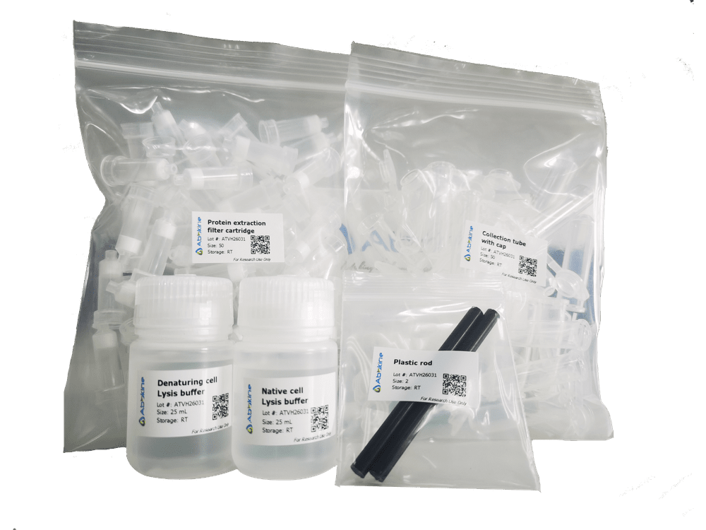 蛋白提取、定量疑惑多？蛋白提取及定量FAQ大合集来啦！