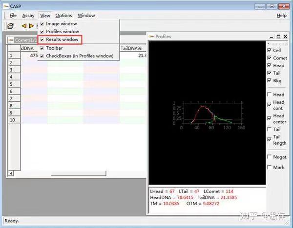 彗星法检测DNA损伤，超全面解说