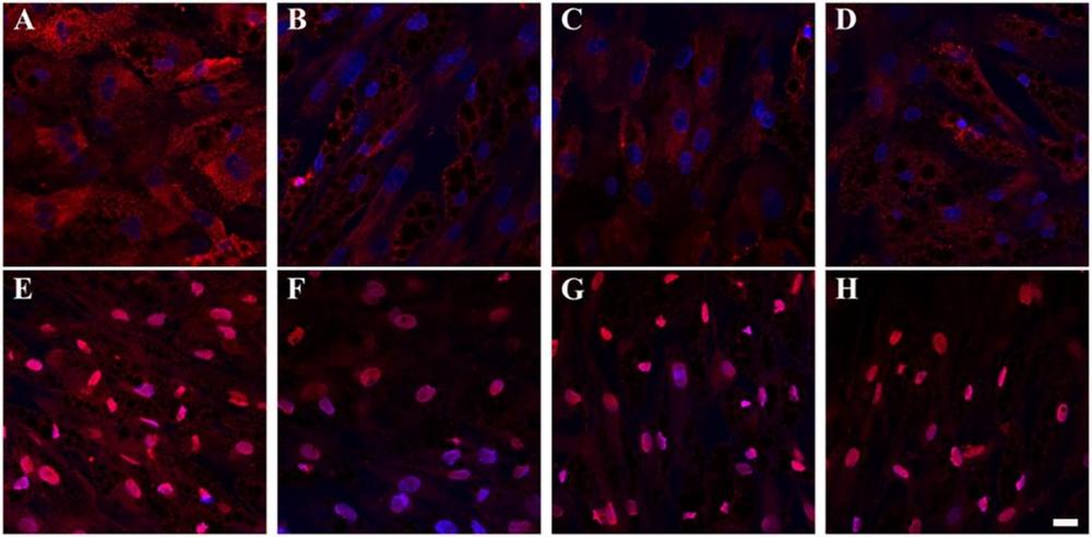 IF专题| IF应用的多重选择
