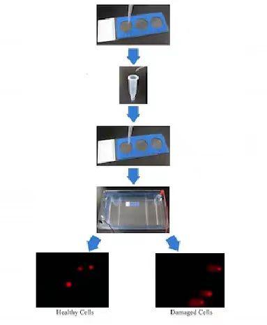 难点逐一击破，这么好的试剂盒谁不拥有我都会伤心的OK