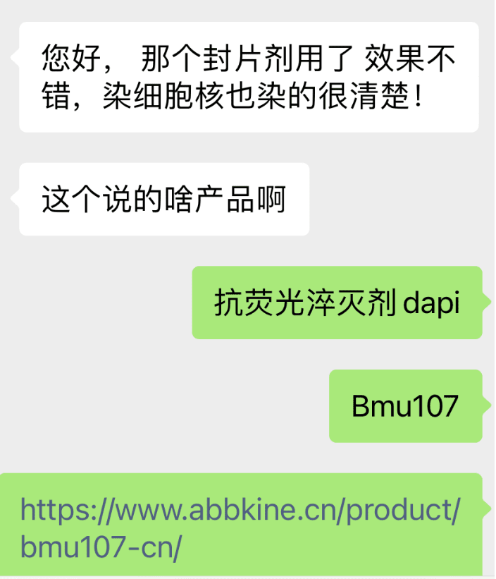 欢迎来到Abbkine夸夸团~