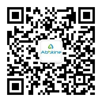 【干货分享】免疫组化专题|一文解决所有组化难题