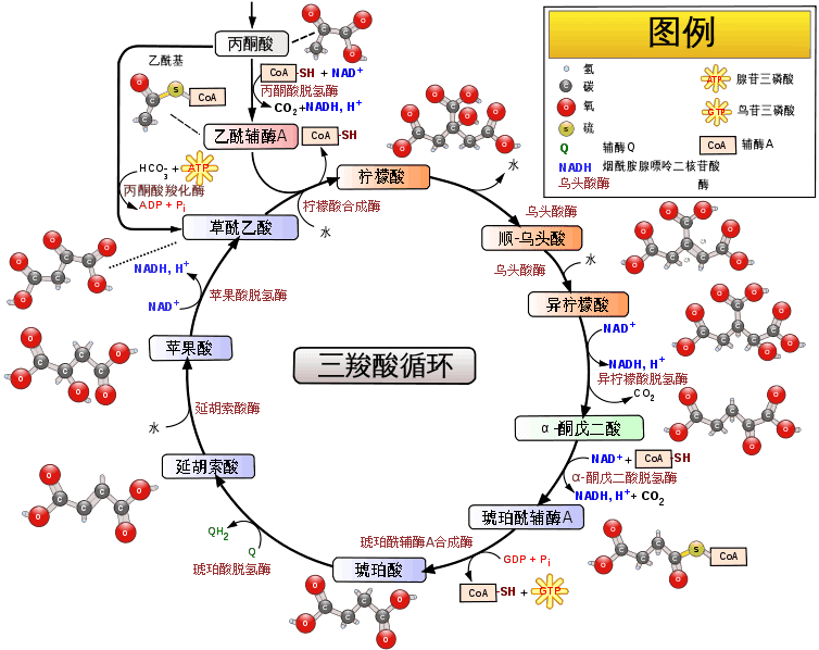 生化检测不知从何入手？Abbkine提供多种生化检测方案，助你一臂之力！