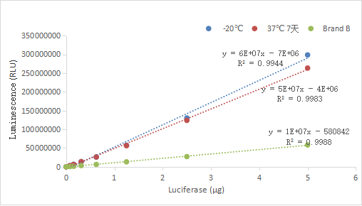 双12来袭，您有一批新品请查收！