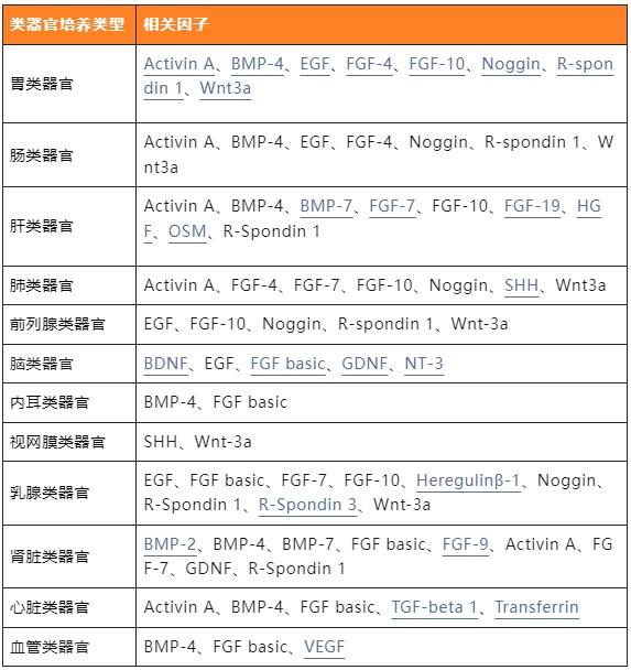 类器官培养常用的细胞因子