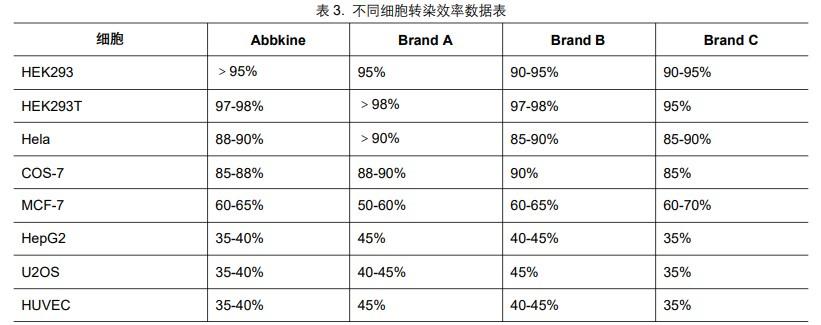 细胞转染及报告基因检测Abbkine一套就购了