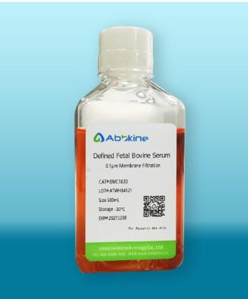 新品解读|Abbkine胎牛血清家族成员再次助力细胞实验