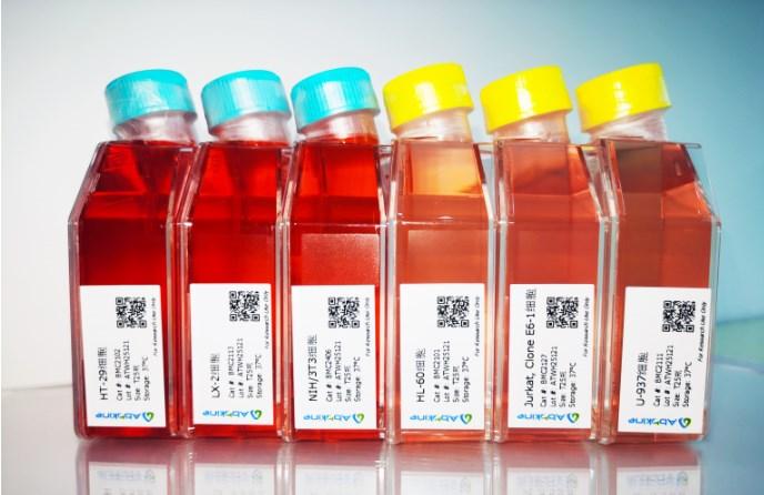 中国式浪漫！当亚运会遇上中国节 ——Abbkine携细胞株助力杭州亚运会