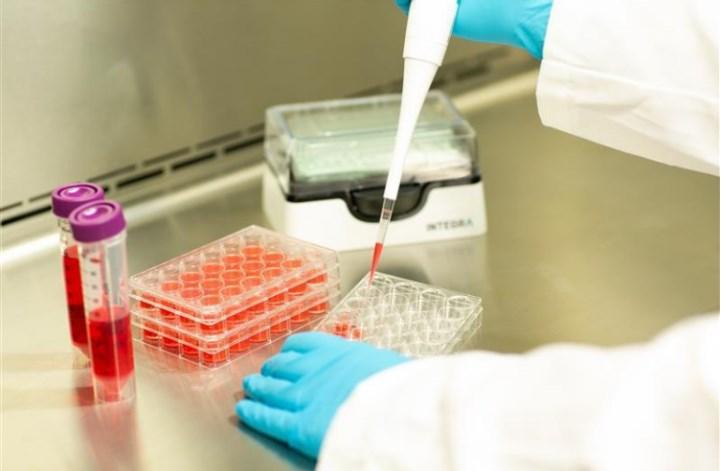 新学期，Abbkine利器助你细胞培养游刃有余 集齐细胞培养全套装备，一切尽在掌控