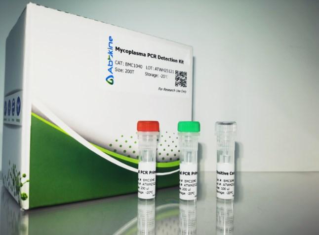 它来了它来了细胞培养系列新品——支原体PCR检测试剂盒上新了！