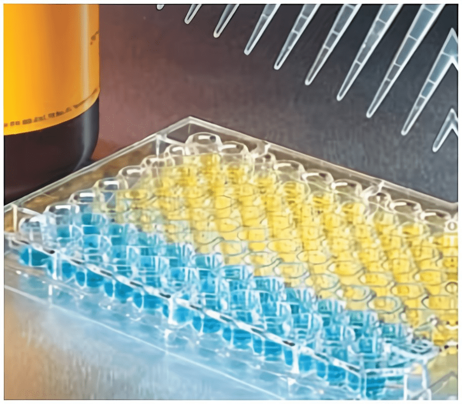 氧化应激、癌症、糖尿病、衰老、铁死亡，让代谢更出彩