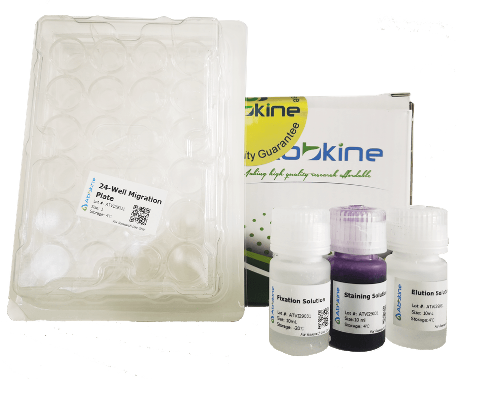 细胞迁移分析试剂盒实验操作流程