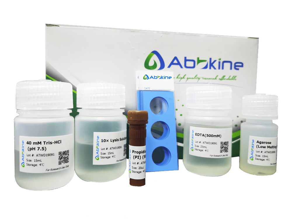 彗星法DNA损伤分析试剂盒实验操作流程