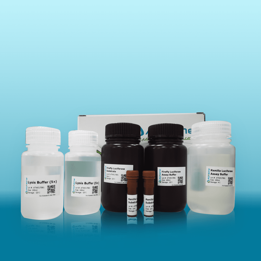 双荧光素酶报告基因检测试剂盒实验操作流程