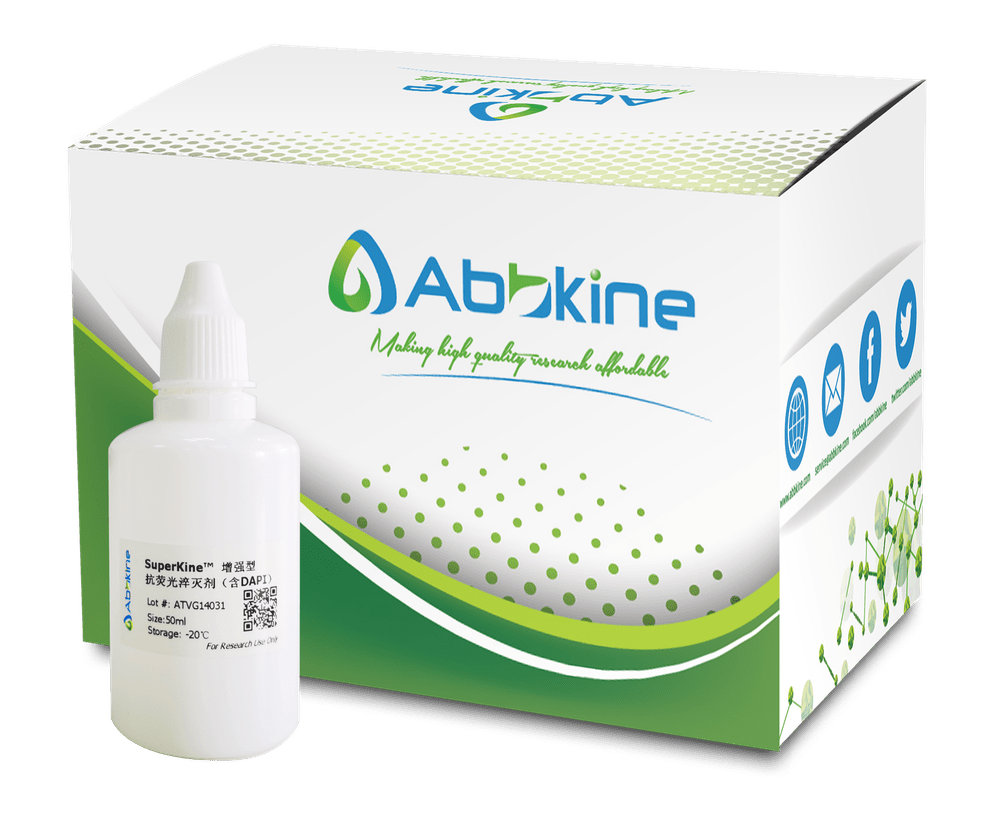 增强型抗荧光淬灭剂使用指南