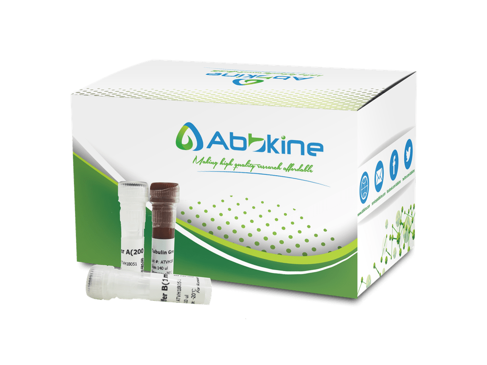 活细胞微管染色试剂盒产品介绍