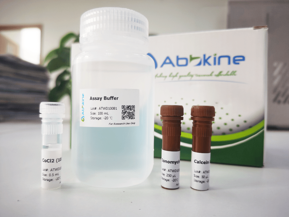 线粒体通透性转换孔(MPTP)检测试剂盒实验操作流程