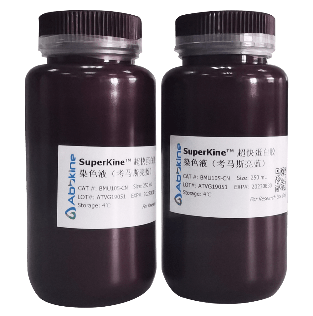 超快蛋白胶染色液（考马斯亮蓝）使用指南