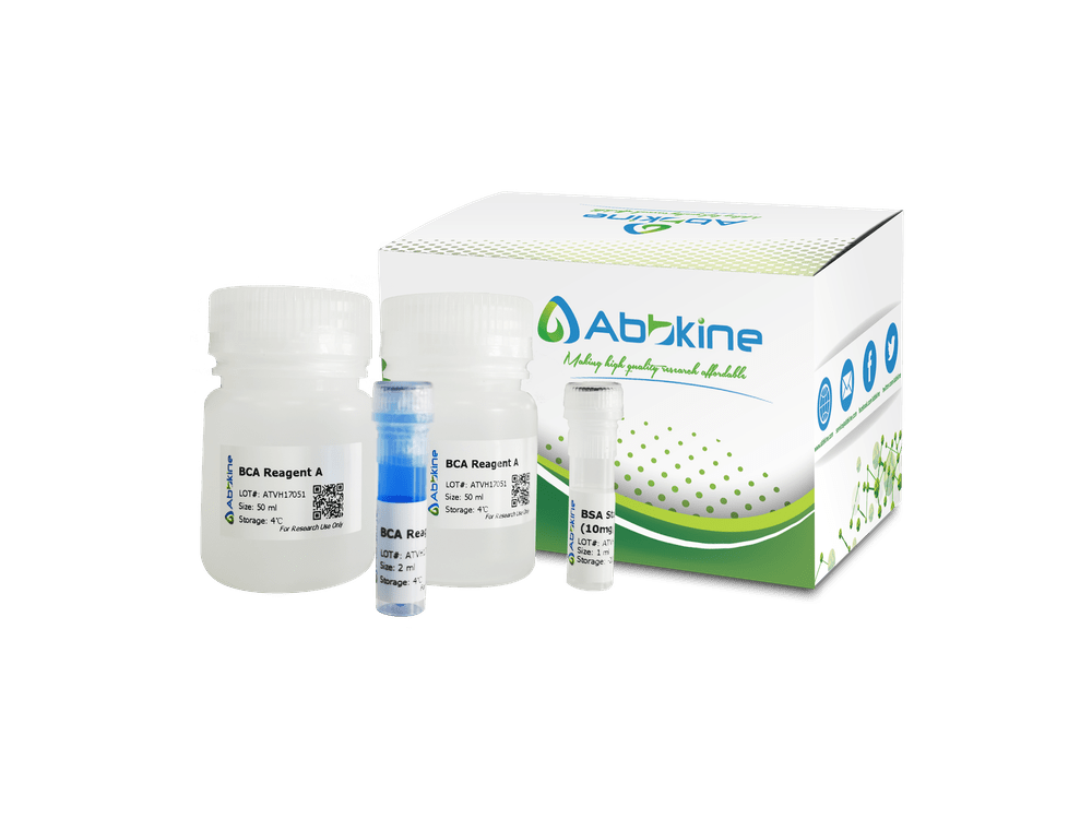 蛋白质定量试剂盒实验操作流程