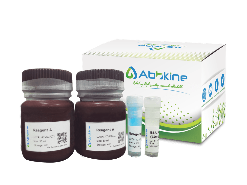 快速蛋白质定量试剂盒产品介绍