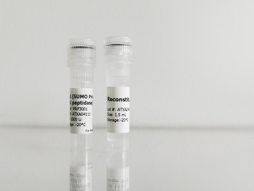 细胞因子超详细使用操作指南