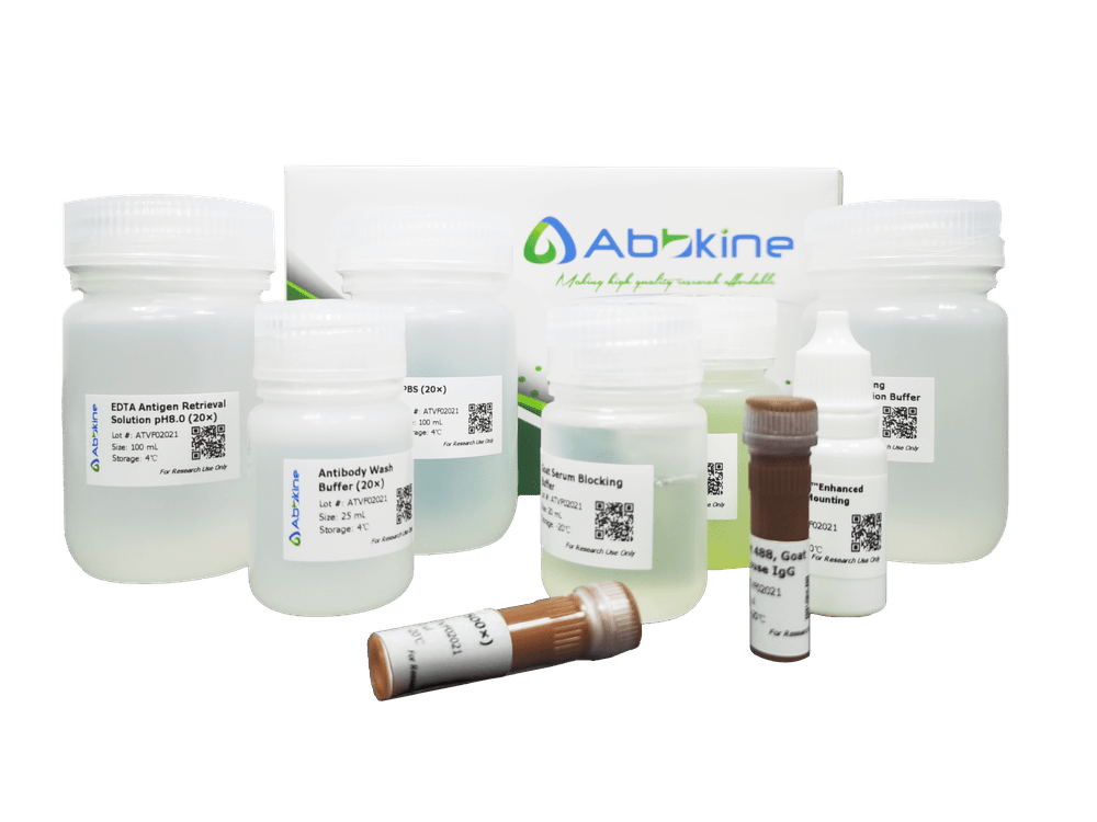 IF工具箱实验操作指南