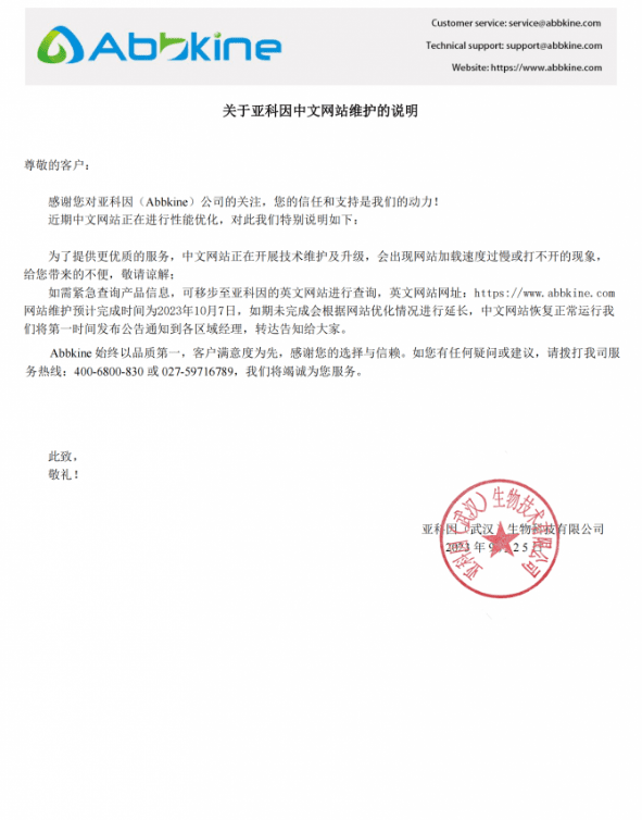 关于亚科因中文网站维护的说明