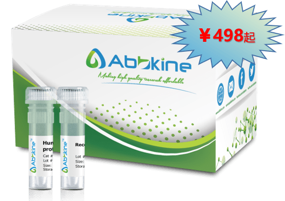 细胞因子活性验证新探索：精准评估，解锁生命科学奥秘