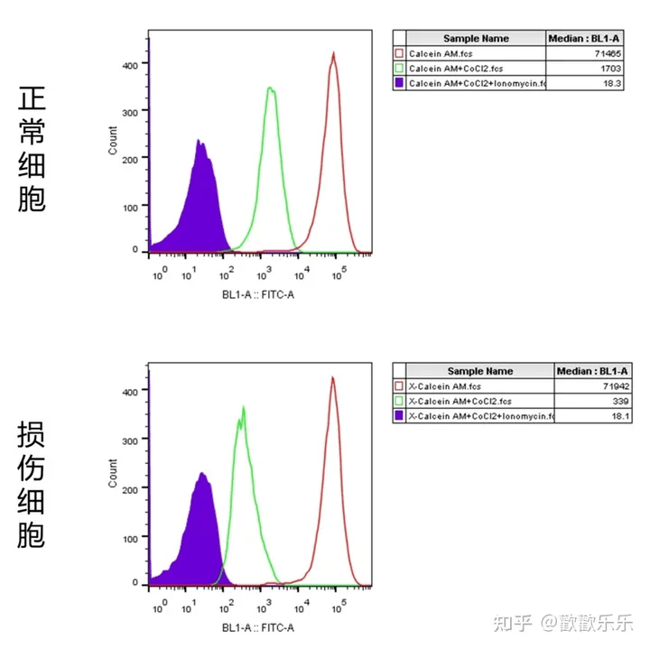 干货|一文教你MPTP的钙黄绿素流式分析方法