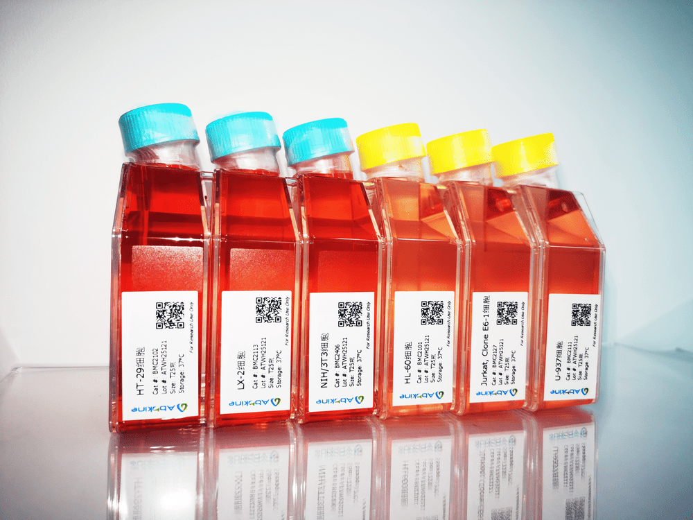 叮！Abbkine又有新品和您见面啦！