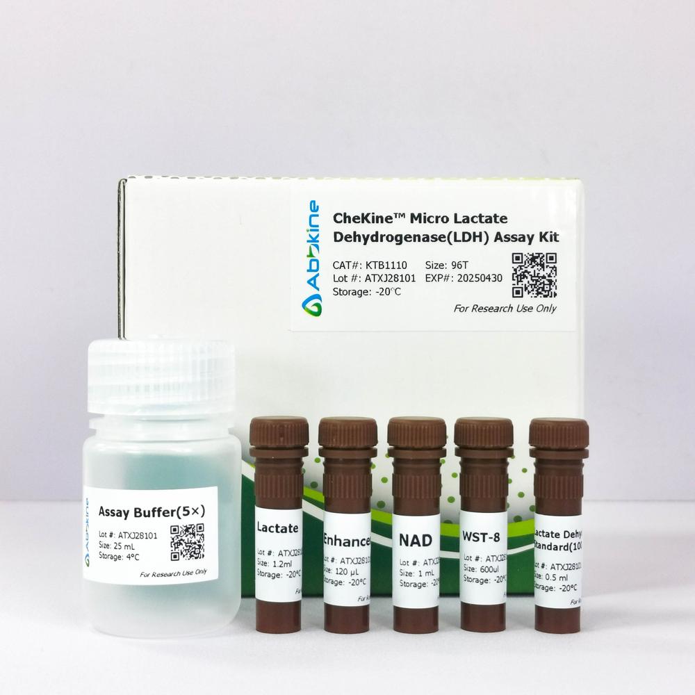 乳酸脱氢酶（LDH）活性检测试剂盒实验解决方案