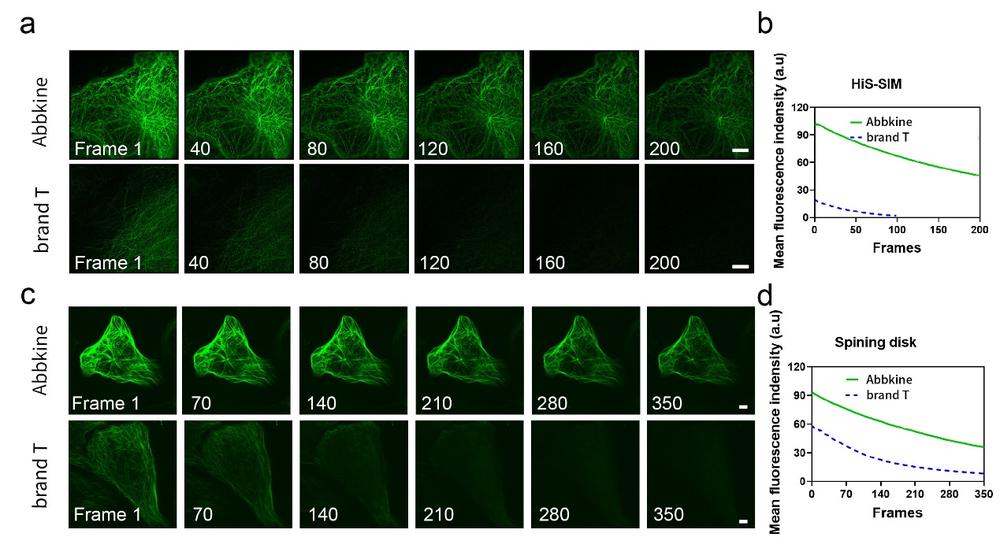活细胞染色专题| Abbkine TraKine™ Pro系列活细胞染色试剂盒