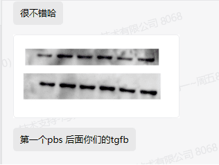 细胞因子明星产品好评分享~