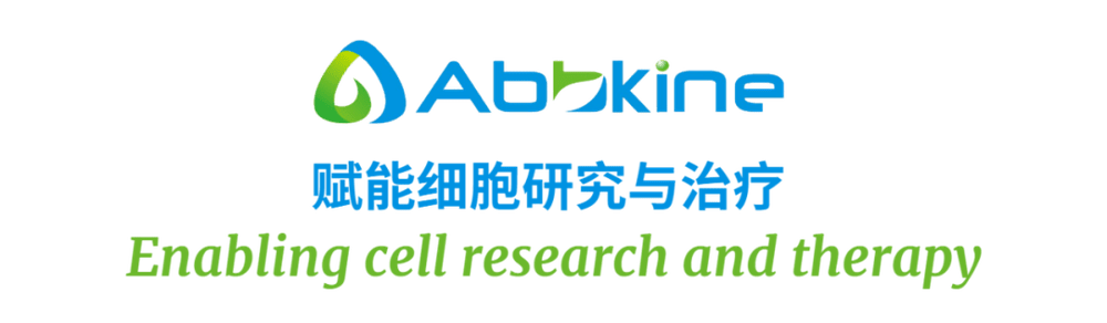 活细胞示踪实验的 “通关秘籍”：实用经验大公开