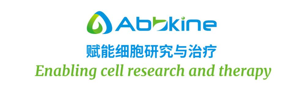 KTB1016-CheKine ATP 含量检测试剂盒在心血管疾病动物模型中的应用