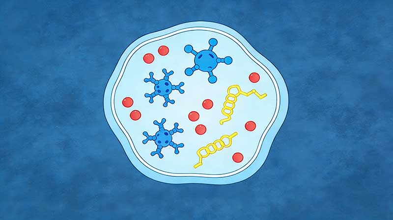 氧化应激指标有哪些？怎么选择检测方法