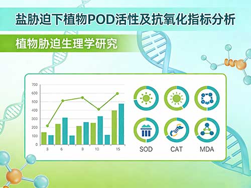 植物盐胁迫研究中过氧化物酶POD活性怎么测？实验方案、结果解读与常见问题