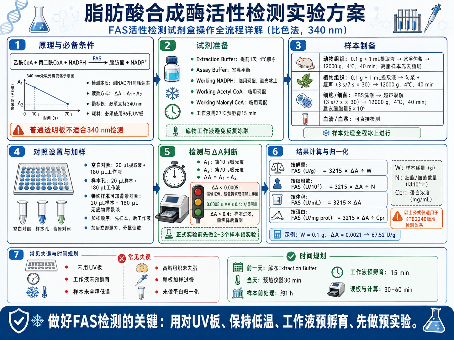 脂肪酸合成酶活性检测实验方案：FAS活性检测试剂盒操作全流程详解