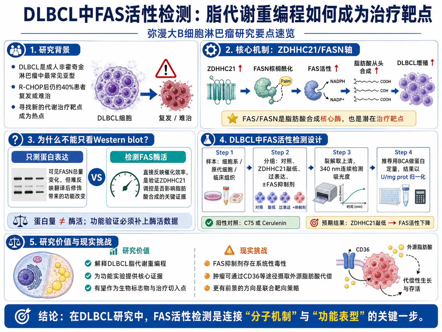 弥漫大B细胞淋巴瘤研究中的FAS脂肪酸合成酶活性检测——脂代谢重编程如何成为治疗靶点